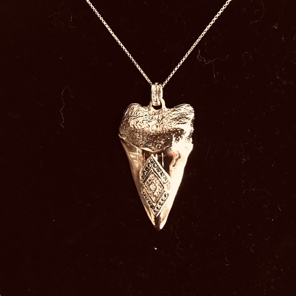 House of Harlow 1960 Pendant and Chain